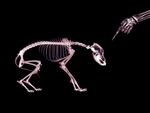 394673 (a): :1024x768